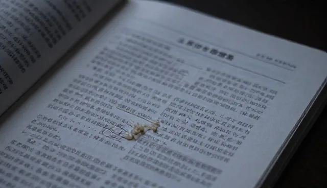 生态大米选购建议:如何选择优质产品