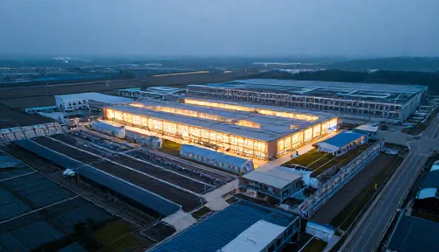 仓储管理如何通过选型关注点优化生态大米存储