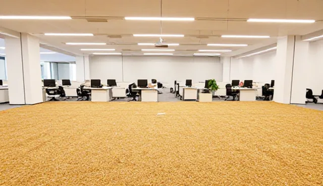 生态大米选购常见误区及正确处理方向